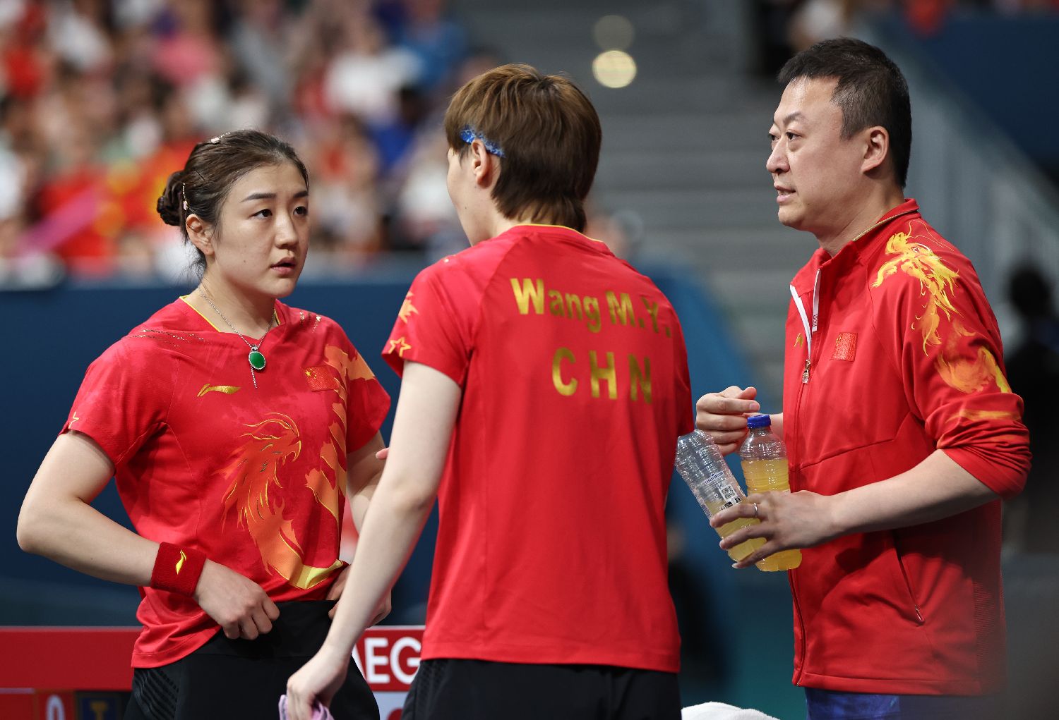 法国队险胜中国队，马琳带队取胜