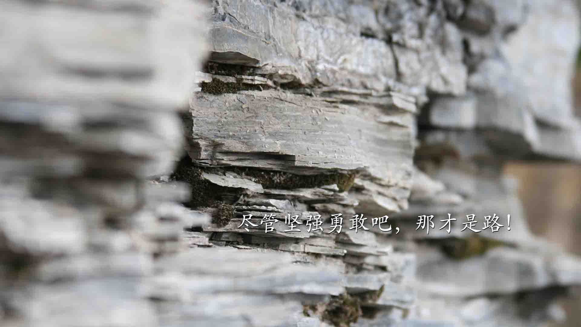 强压乌克兰!洪都拉斯凭借巴雷拉关键一击赢得历史性胜利