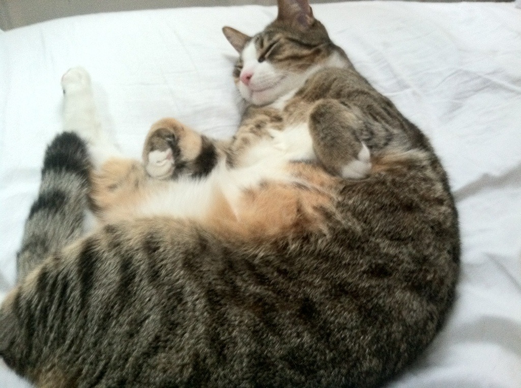 开云体育APP下载-托尼的魔力时刻,莱比锡红牛以压倒性技术流,浇熄沙特沙漠风暴