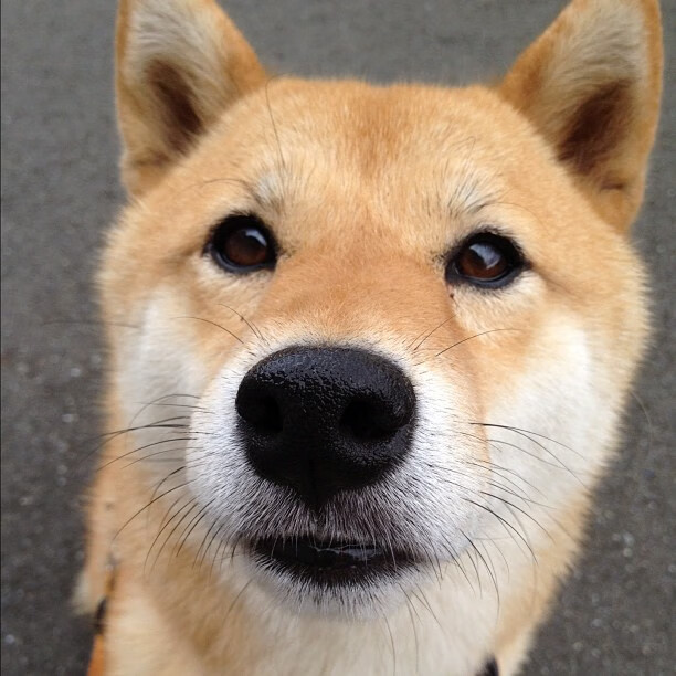 开云体育在线-铁血冰封洛杉矶,当布克用防守改写剧本,凯尔特人拆穿快船幻象