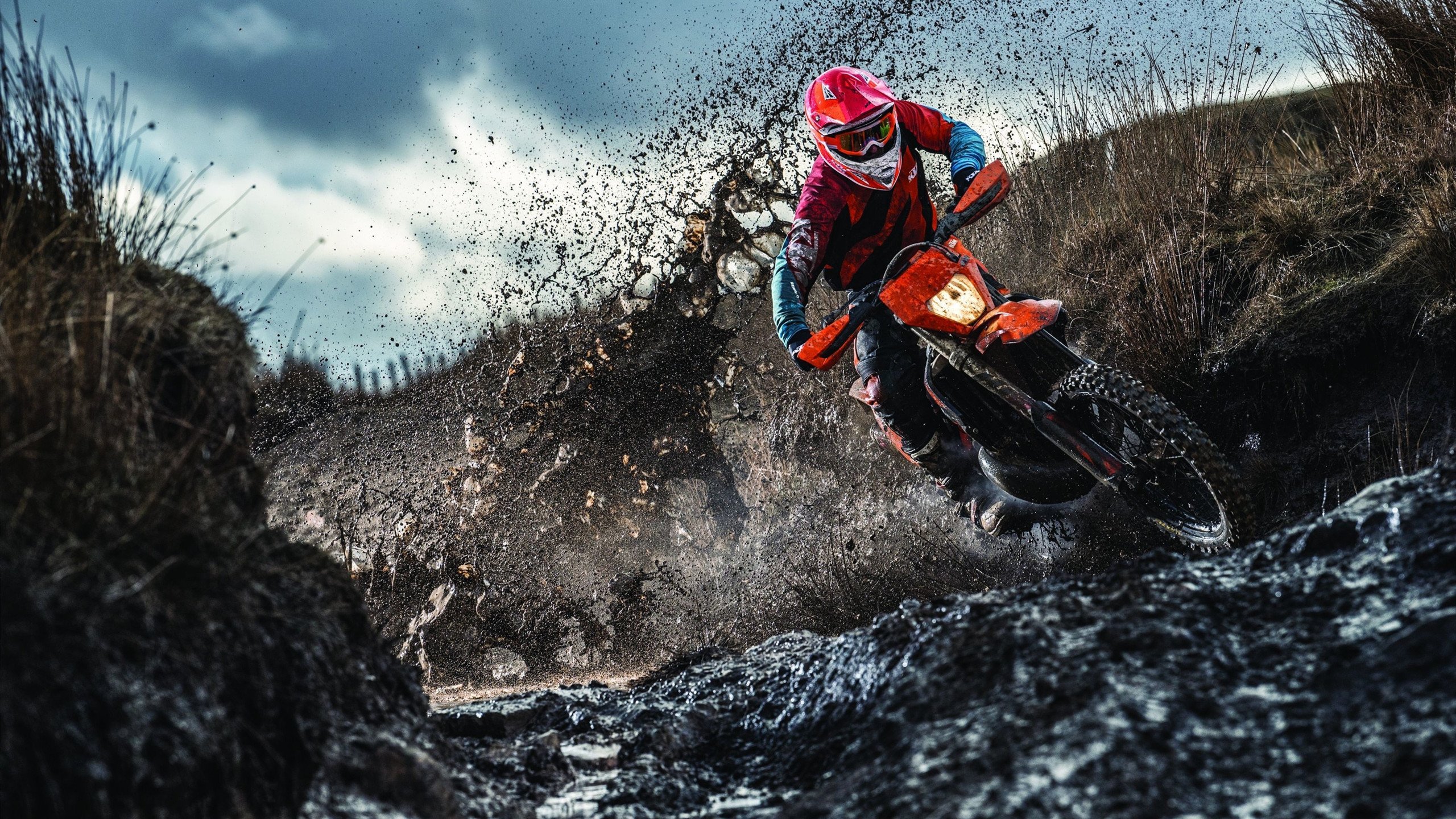 开云体育登录-觉醒与围城记,武切维奇完成自我救赎,奇才防死雄鹿的战术解剖