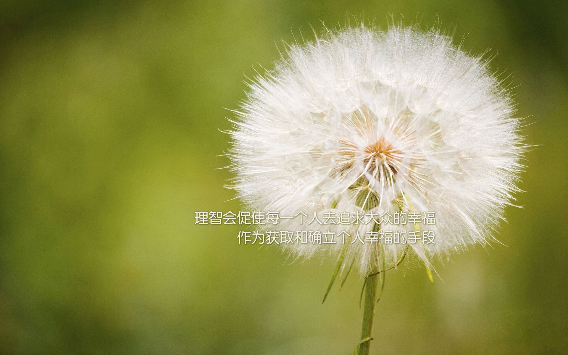 最后的太阳,当抢七之夜点燃冰血太阳德文·布克