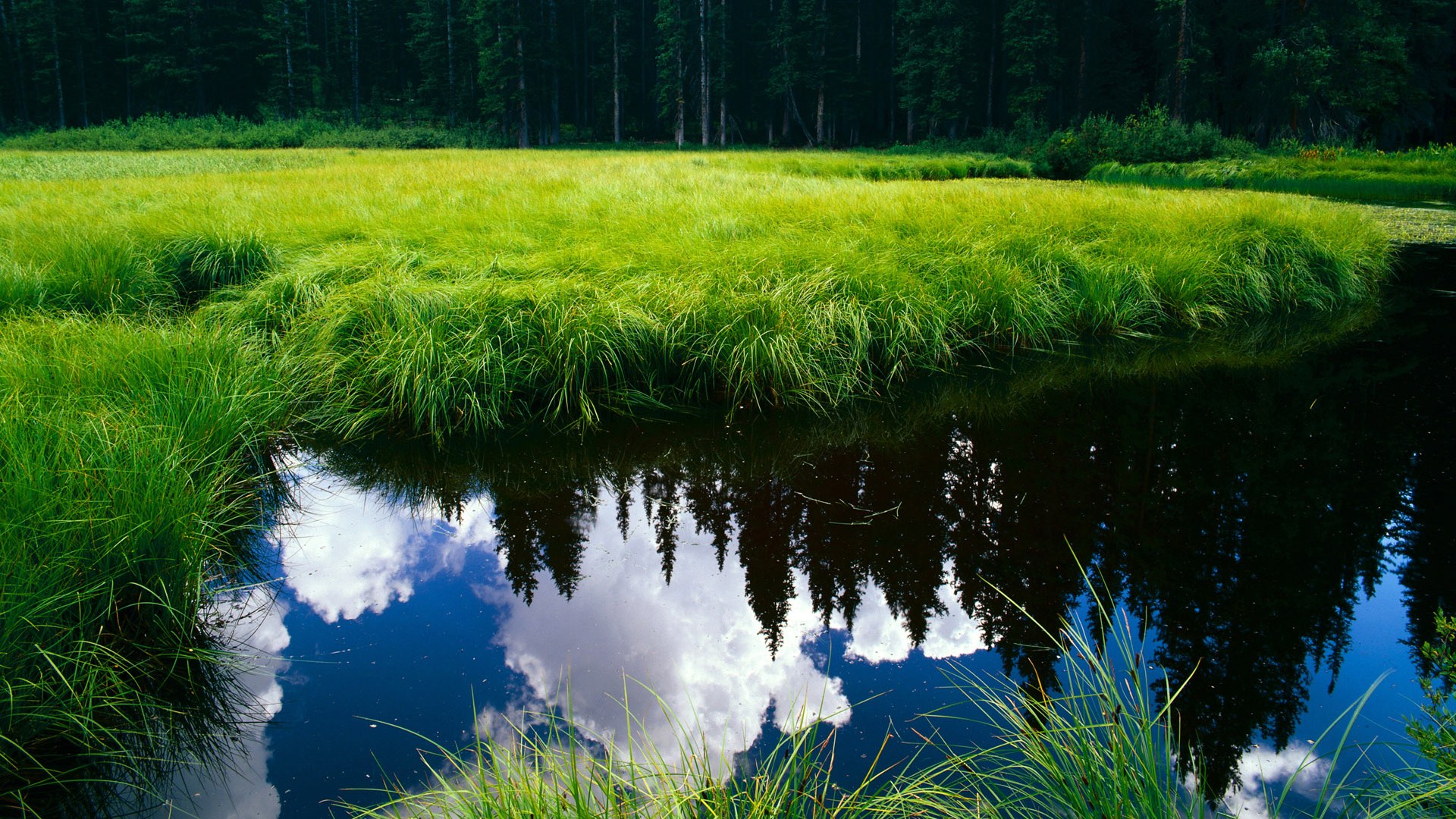 偏执的亚哈,当开拓者遭遇塔图姆,一场注定被献祭的猎杀