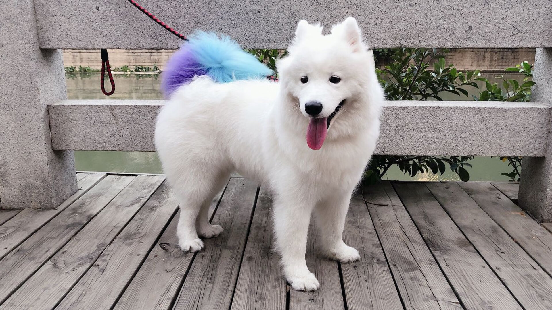 开云体育在线-改写剧本的人,拉梅洛用95分钟的星光,撕裂了所有预言