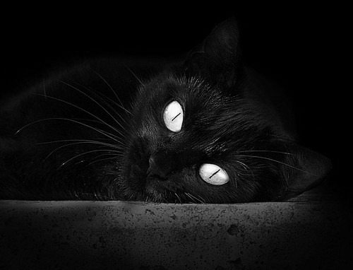 开云体育官网-纪录之夜!拉梅洛单场双响+助攻,打破尘封23年意甲传奇