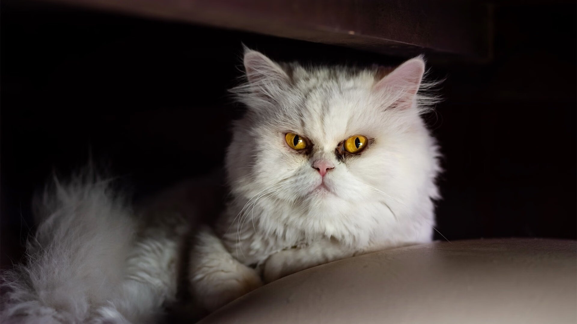 开云体育-双线绞杀,亚特兰大的永动进攻与贝林厄姆的空间锁