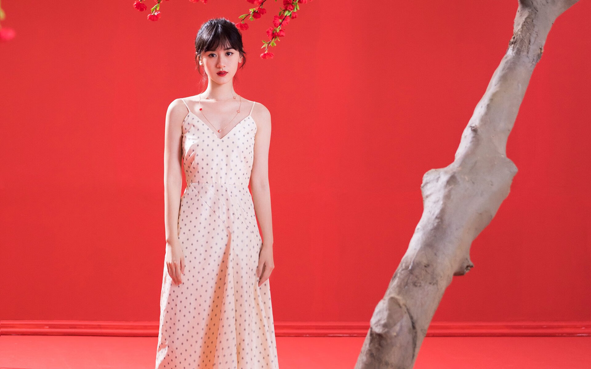 雷霆与秩序,当雷恩的精密齿轮碾碎哥伦比亚的野性探戈