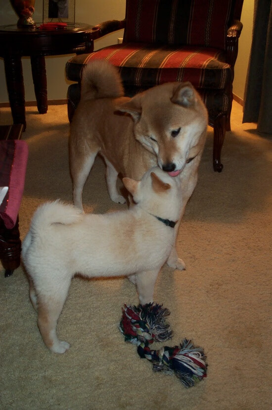 星火燎原，加维的燃烧之舞如何点亮世界排名争夺战之夜