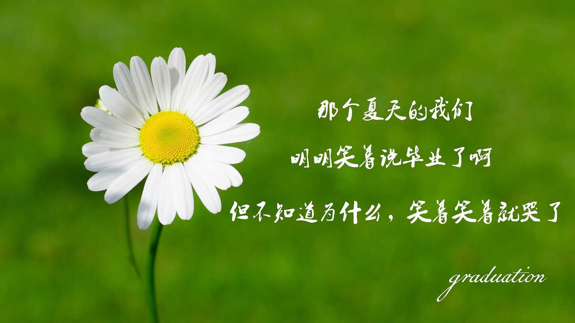 极限攻防,字母哥史诗夜对决尼克斯铁壁围城