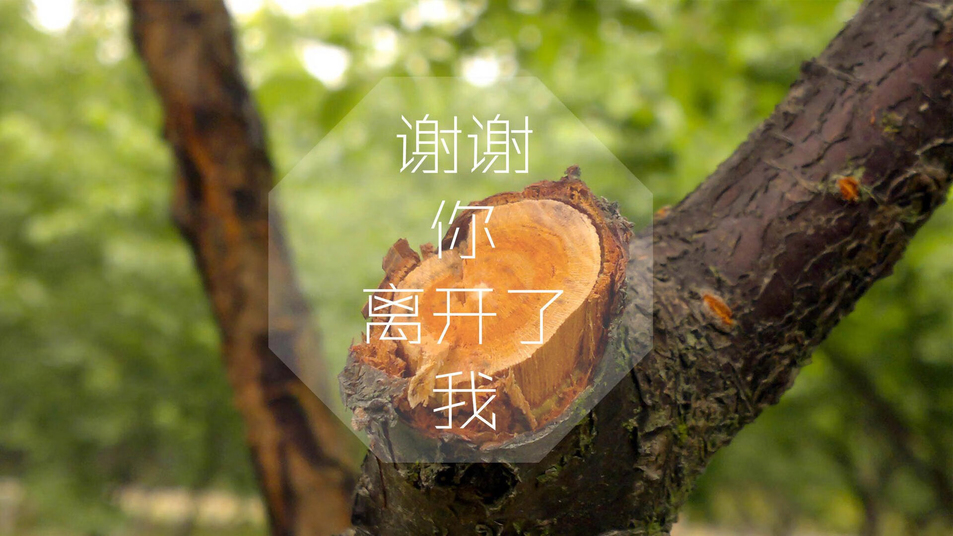 首先,我们来扩展思维,构思一个能体现唯一性的标题